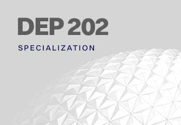 DEP 202: Skill Specialization & Team Projects